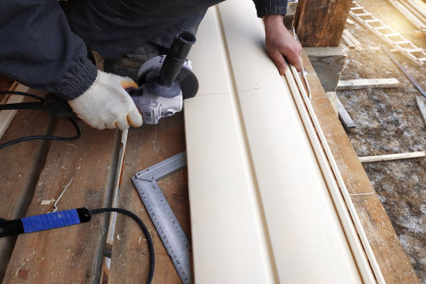 Best Siding for Commercial Buildings  in Alamosa East, CO