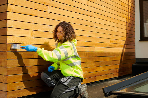 Best Fascia and Soffit Installation  in Alamosa East, CO