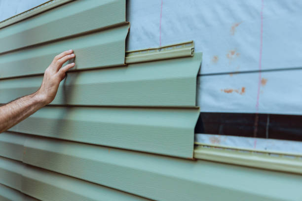 Best Insulated Siding Installation  in Alamosa East, CO